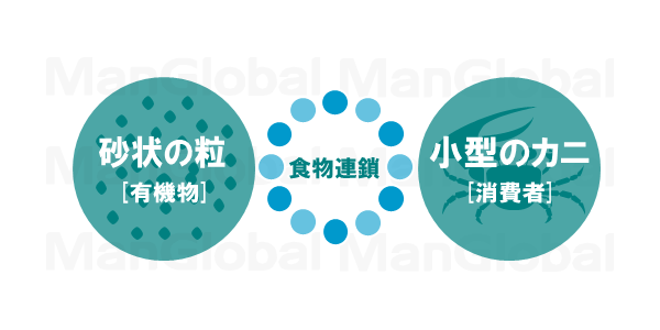 有機物による食物連鎖図解