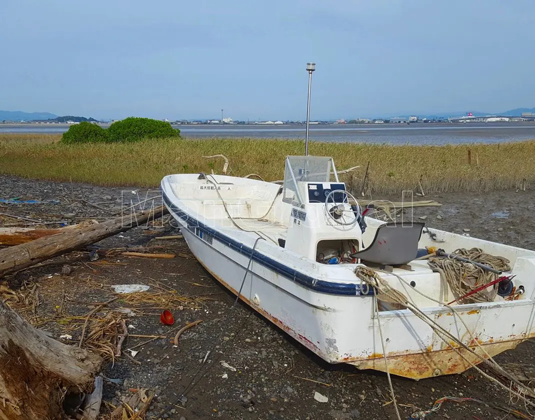 南川のマングローブ自生地(3)