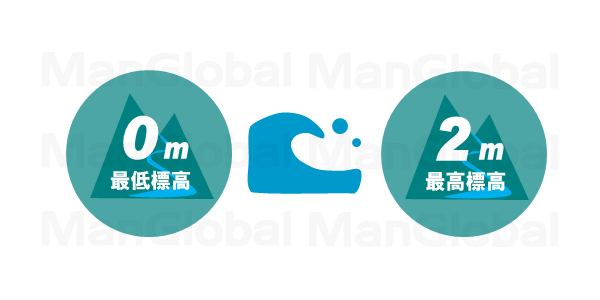 マングローブ標高地形についての説明図