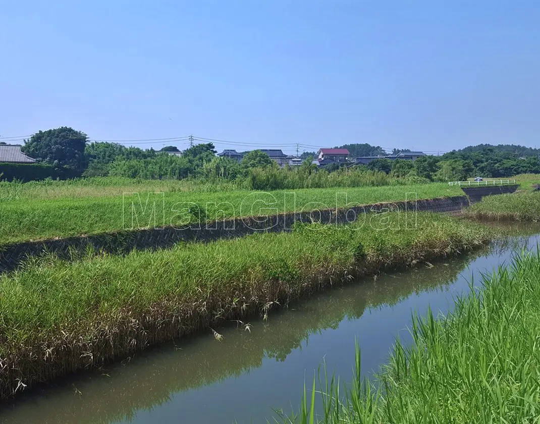 遠田川のマングローブ自生地(3)