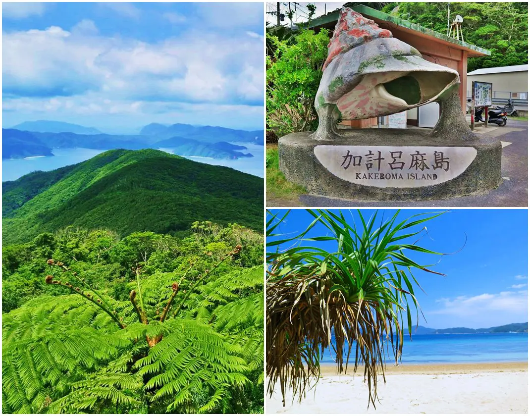 加計呂麻島の風景