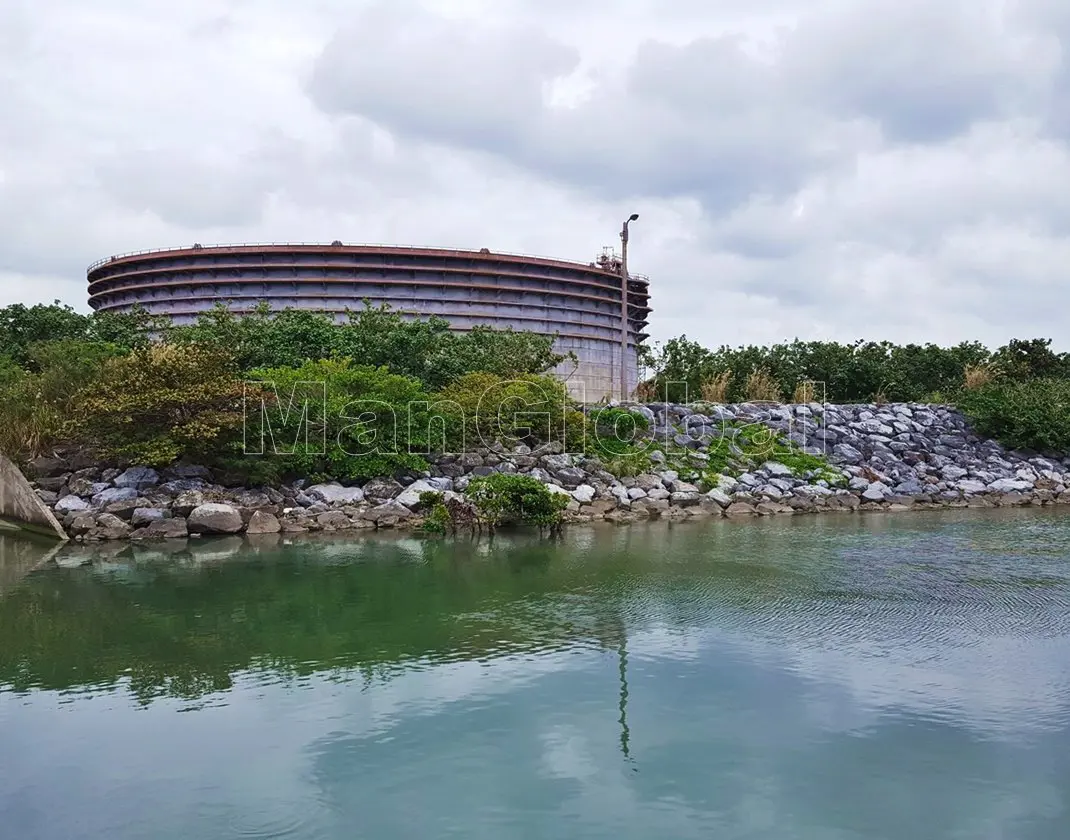 小那覇川のマングローブ風景